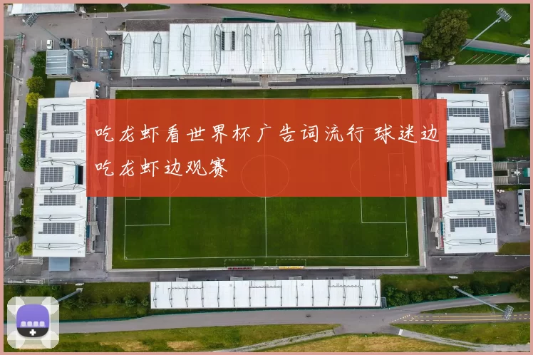 吃龙虾看世界杯广告词流行 球迷边吃龙虾边观赛