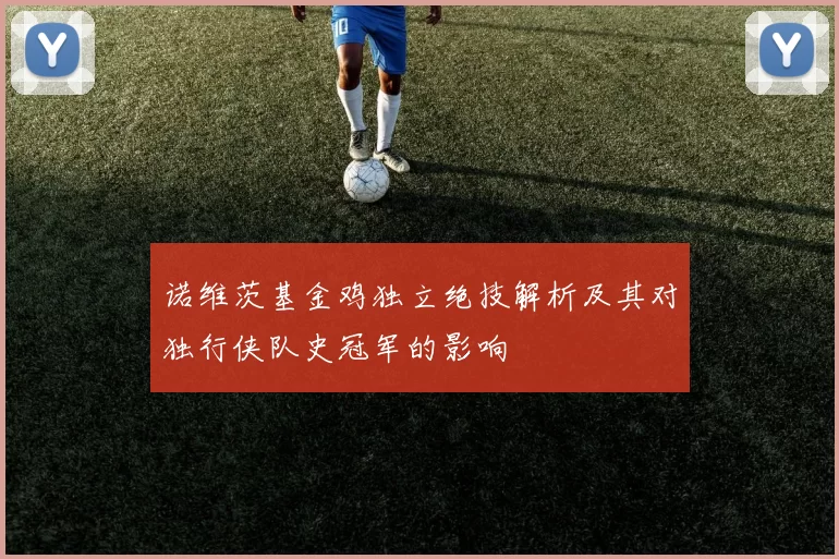 诺维茨基金鸡独立绝技解析及其对独行侠队史冠军的影响