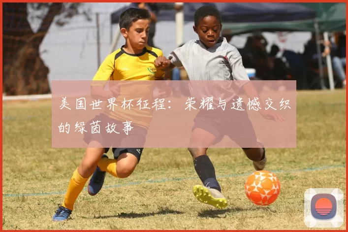 美国世界杯征程:荣耀与遗憾交织的绿茵故事