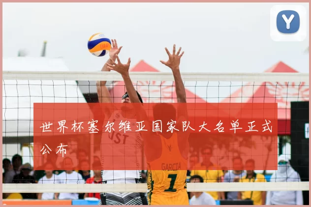 世界杯塞尔维亚国家队大名单正式公布