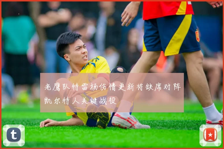老鹰队特雷杨伤情更新将缺席对阵凯尔特人关键战役