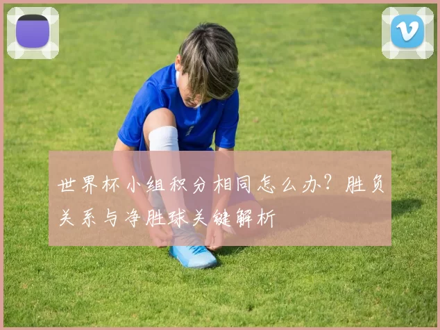 世界杯小组积分相同怎么办?胜负关系与净胜球关键解析