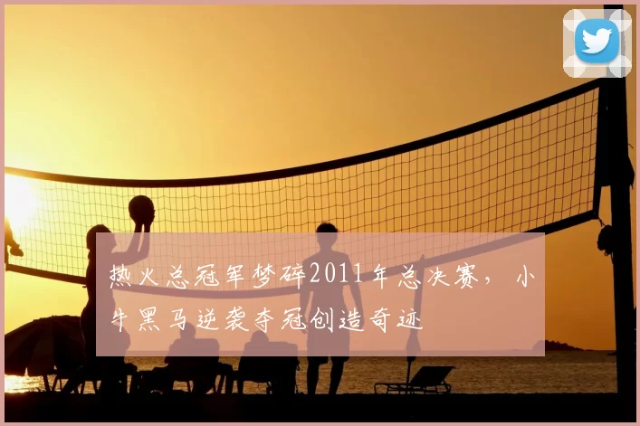 热火总冠军梦碎2011年总决赛，小牛黑马逆袭夺冠创造奇迹