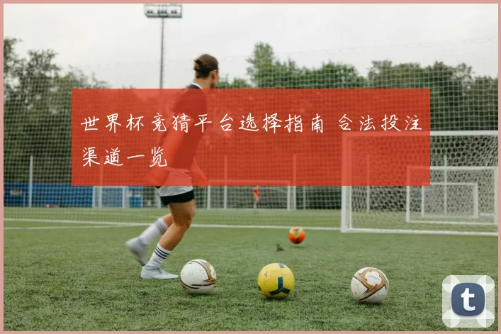 世界杯竞猜平台选择指南 合法投注渠道一览