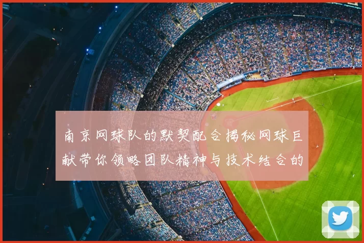 南京网球队的默契配合揭秘网球巨献带你领略团队精神与技术结合的魅力