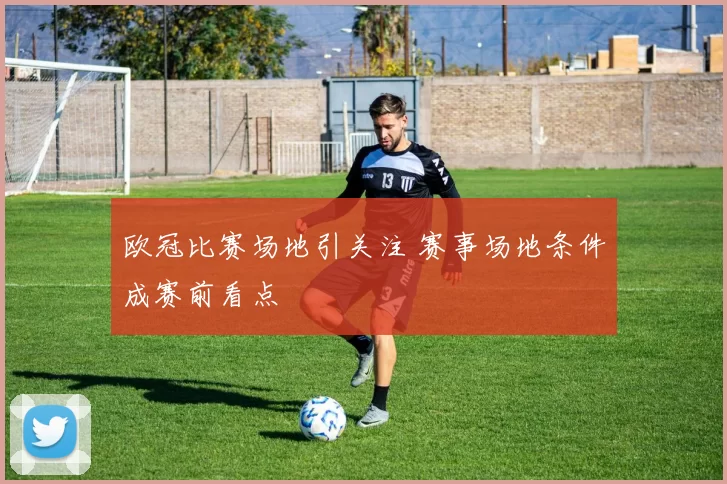 欧冠比赛场地引关注 赛事场地条件成赛前看点