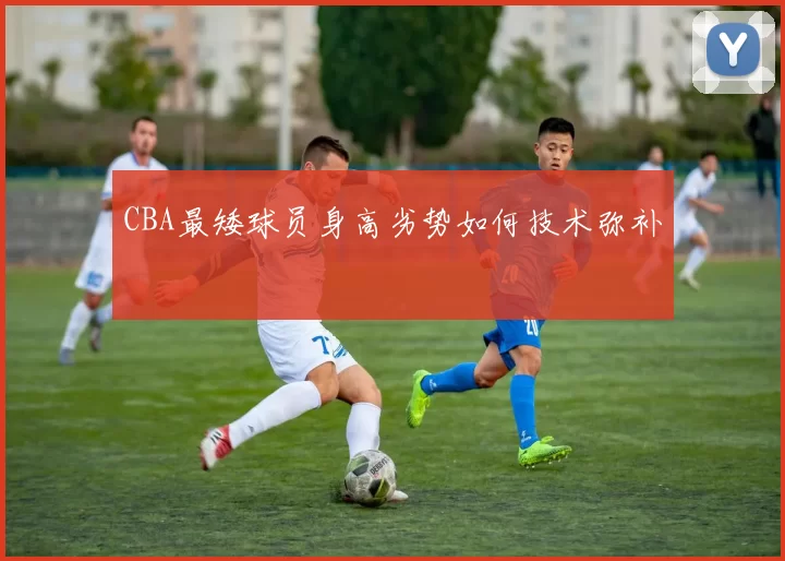 CBA最矮球员身高劣势如何技术弥补