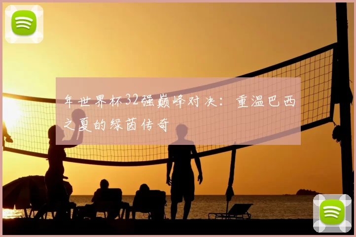 年世界杯32强巅峰对决:重温巴西之夏的绿茵传奇