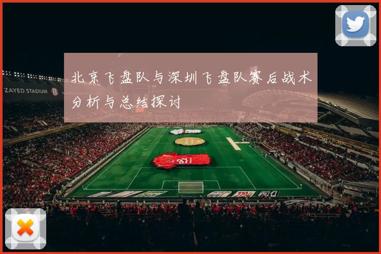 北京飞盘队与深圳飞盘队赛后战术分析与总结探讨