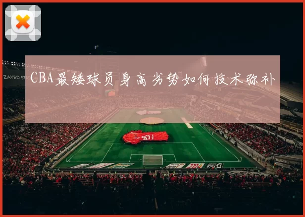 CBA最矮球员身高劣势如何技术弥补
