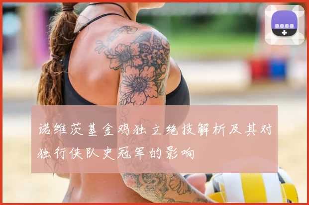 诺维茨基金鸡独立绝技解析及其对独行侠队史冠军的影响