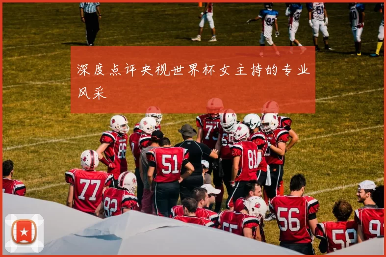深度点评央视世界杯女主持的专业风采