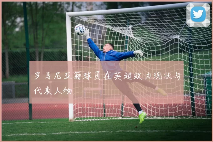 罗马尼亚籍球员在英超效力现状与代表人物