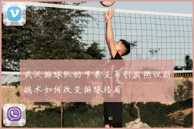 武汉排球队的节奏变革引发热议新战术如何改变排球格局