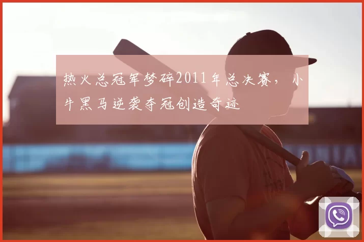 热火总冠军梦碎2011年总决赛，小牛黑马逆袭夺冠创造奇迹